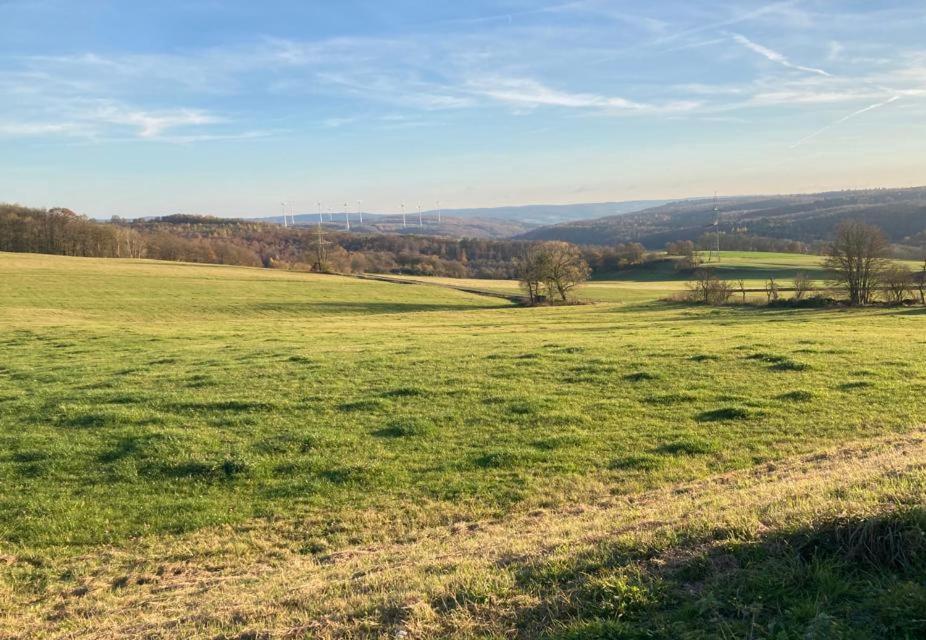 Ferienwohnung Inmitten Der Natur Mit Sauna Steinau an der Strasse Bagian luar foto