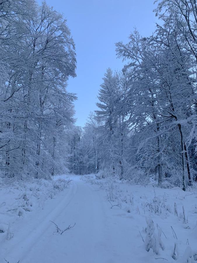 Ferienwohnung Inmitten Der Natur Mit Sauna Steinau an der Strasse Bagian luar foto