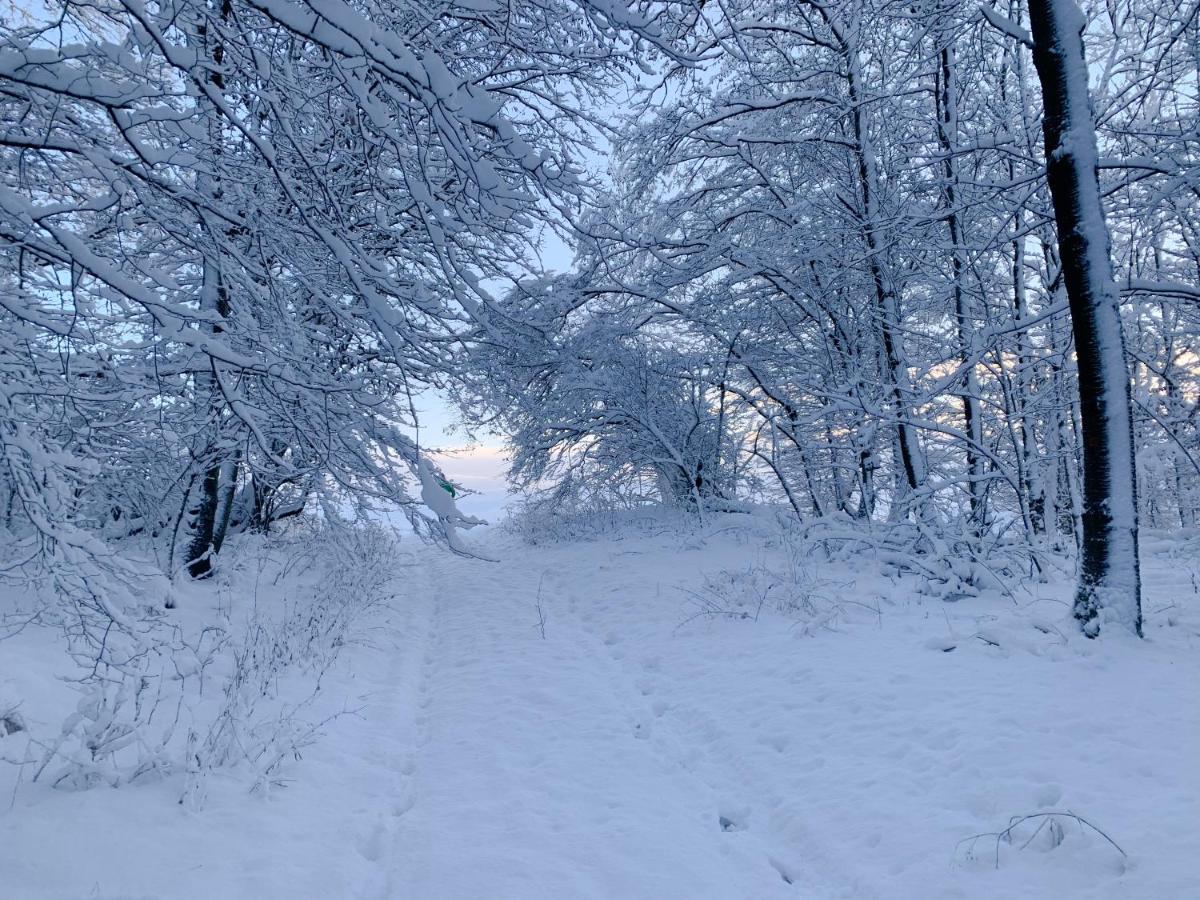 Ferienwohnung Inmitten Der Natur Mit Sauna Steinau an der Strasse Bagian luar foto